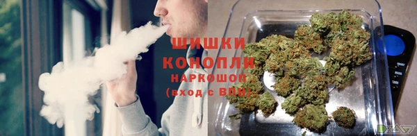 героин Богданович