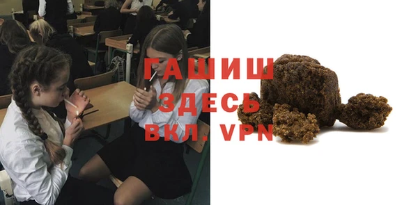 стаф Богородск