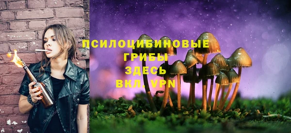 героин Богданович