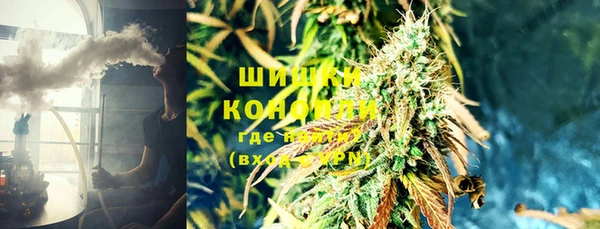 стаф Богородск