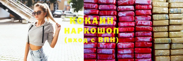 стаф Богородск