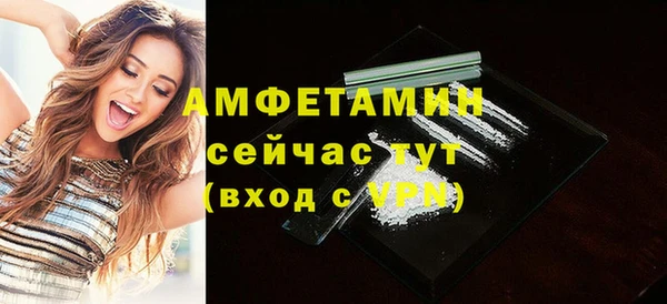 стаф Богородск