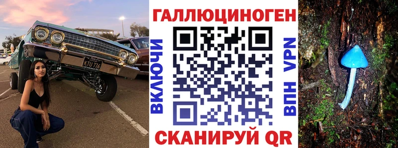 Галлюциногенные грибы Psilocybine cubensis  это какой сайт  Юрга 