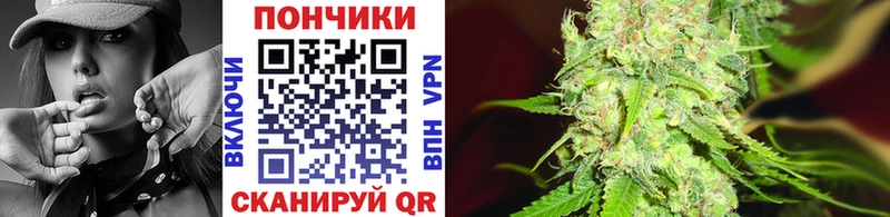 Каннабис сатива  Юрга 